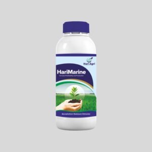 HariMarine