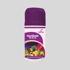 HariGold 19:19:19