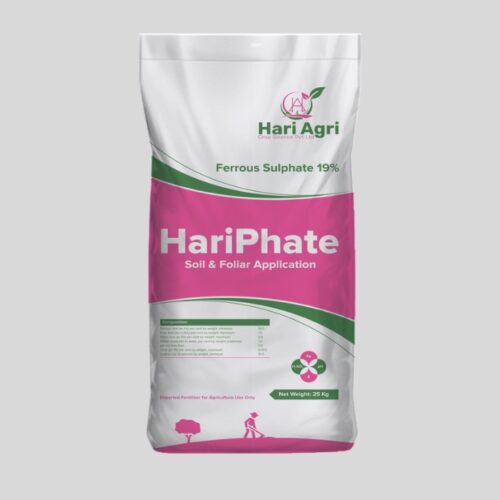 Soil Foliar(Hari Phate) HariPhate