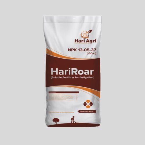 HariRoar