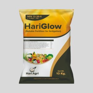 HariGlow