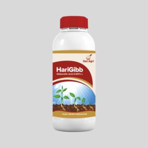 HariGibb