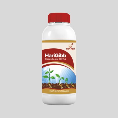 HariGibb